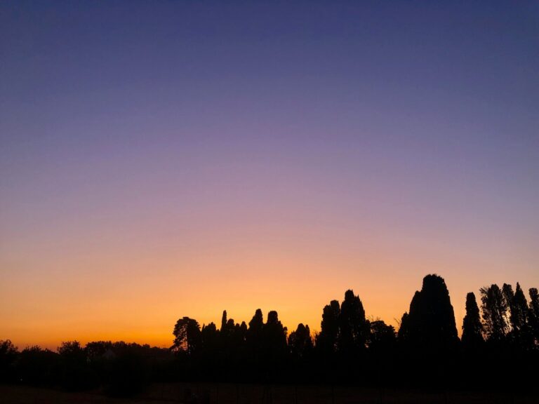 Nettoyage de vitres Salon-de-Provence